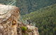 Inside The Greater Blue Mountains World Heritage - A Wildlife Safari Overnight - thumb 13