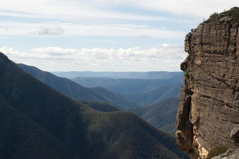 Inside The Greater Blue Mountains World Heritage - A Wildlife Safari Overnight - Tourism Guide 31