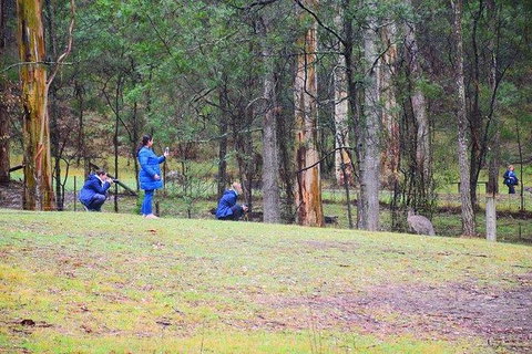 Inside The Greater Blue Mountains World Heritage - A Wildlife Safari Overnight - Tourism Guide 4