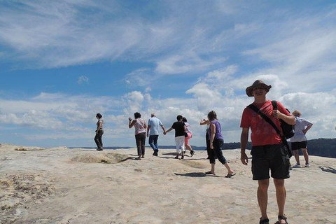 Inside The Greater Blue Mountains World Heritage - A Wildlife Safari Overnight - Tourism Guide 28