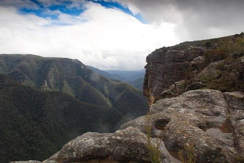 Inside The Greater Blue Mountains World Heritage - A Wildlife Safari Overnight - Tourism Guide 6