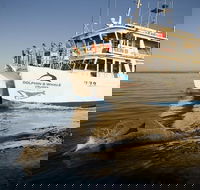 Jervis Bay Dolphin Watch Cruise - Tourism Guide