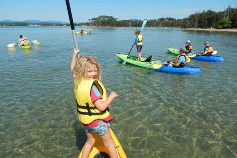 Batemans Bay Glass-Bottom Kayak Tour Over 2 Relaxing Hours - Cruises Travel 0