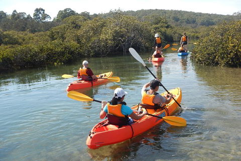 Batemans Bay Glass-Bottom Kayak Tour Over 2 Relaxing Hours - Cruises Travel 4