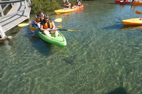 Batemans Bay Glass-Bottom Kayak Tour Over 2 Relaxing Hours - Cruises Travel 5