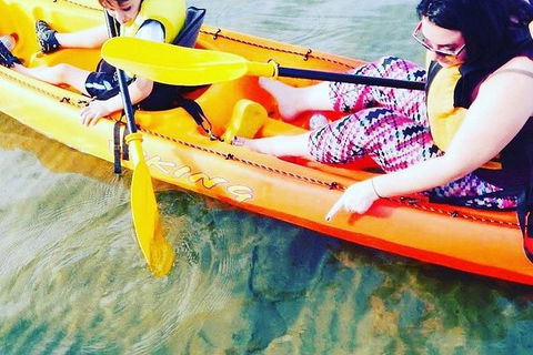 Batemans Bay Glass-Bottom Kayak Tour Over 2 Relaxing Hours - Cruises Travel 6