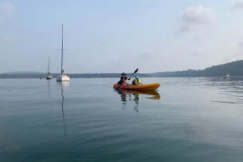 Batemans Bay Glass-Bottom Kayak Tour Over 2 Relaxing Hours - Cruises Travel 7