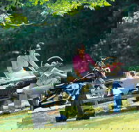 Alstonville - Travel Agents