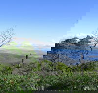 Blue Range Camping and Picnic Area - Tourism Guide