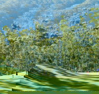 Bonville Golf Resort - Tourism Guide