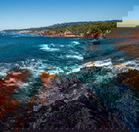 Boyds Tower to Saltwater Creek Walking Track - Travel Agents