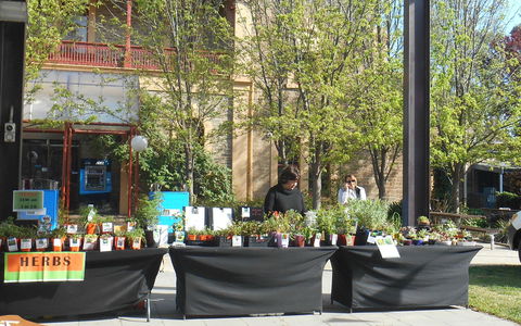 Clare Show Market - Cruises Travel 0