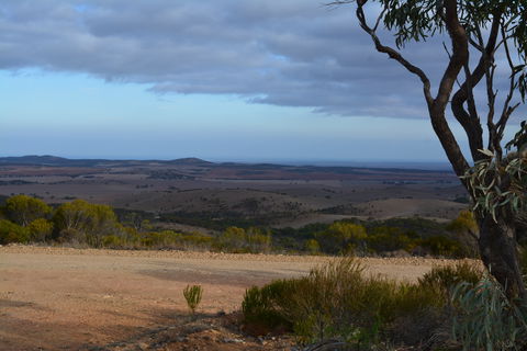 Cleve Hills Scenic Drive & Lookout - Tourism Guide 1