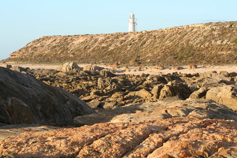 Corny Point Lighthouse - Tourism Guide 0