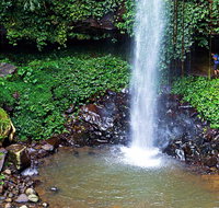Crystal Shower Falls Walk - Tourism Guide