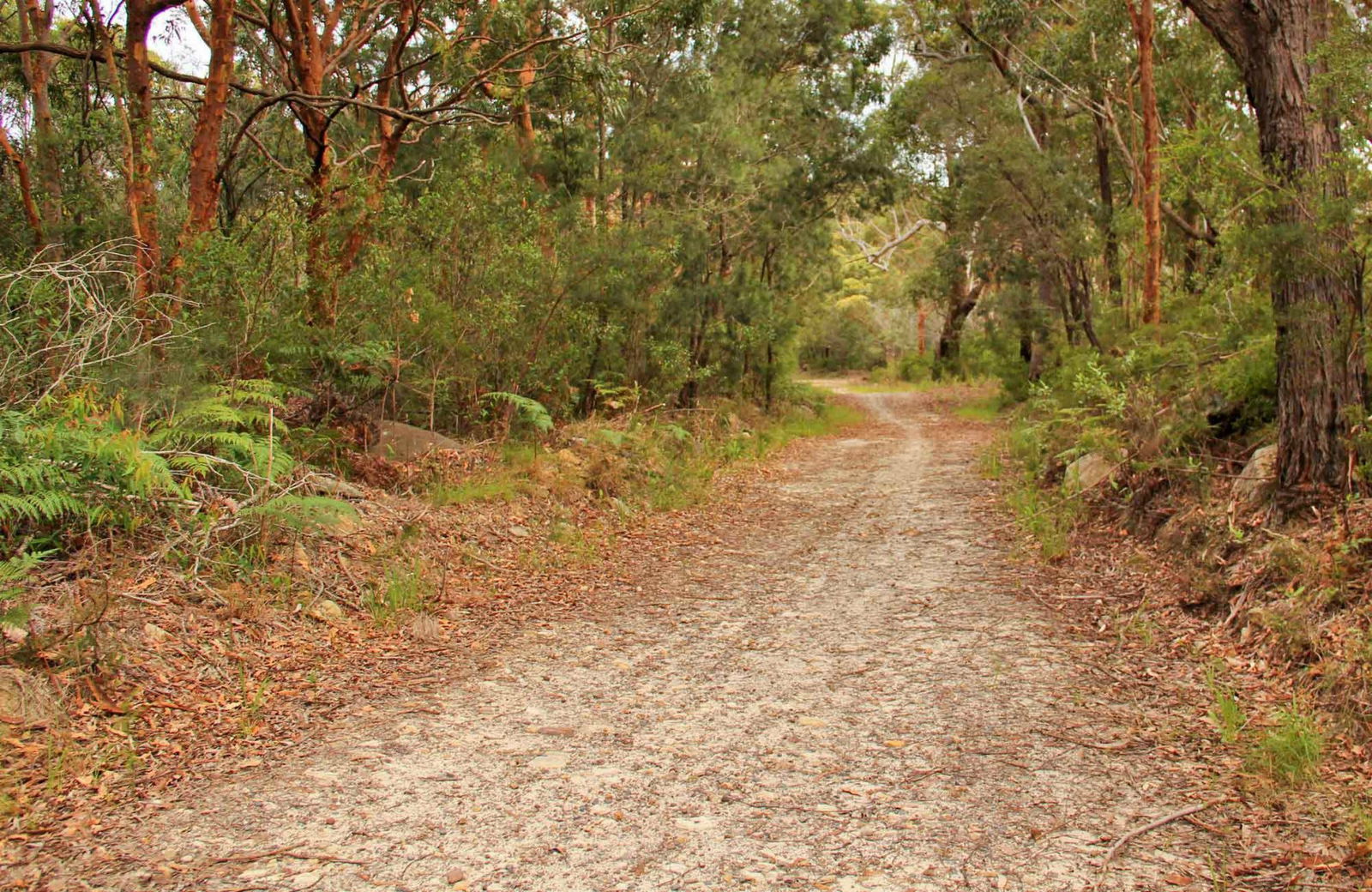 Killcare Heights NSW Tourism Guide
