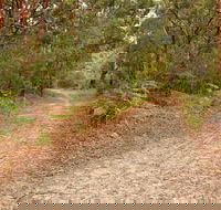 Daleys Point Walking Track - Cruises Travel