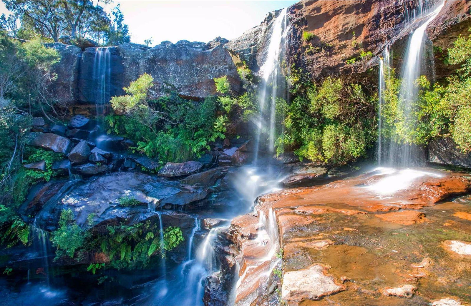 Wedderburn NSW Travel Search