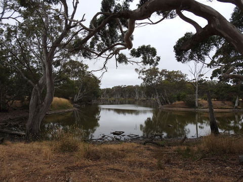 Duck Lagoon - Tourism Guide 0