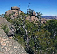 Evans Crown Nature Reserve - Tourism Guide