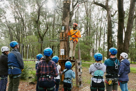 Forest Adventures South West - Travel Agents 0