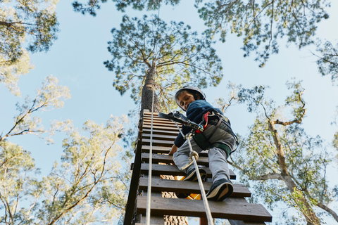 Forest Adventures South West - Travel Agents 1