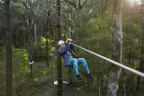 Forest Adventures South West - Travel Agents 2