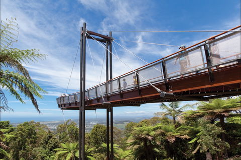 Forest Sky Pier, Sealy Lookout - Tourism Guide 0