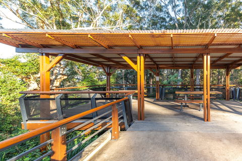 Forest Sky Pier, Sealy Lookout - Tourism Guide 1