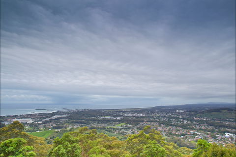 Forest Sky Pier, Sealy Lookout - Tourism Guide 2