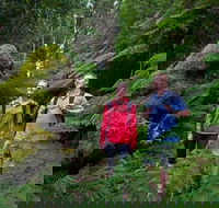 Grand Strzelecki Track - Tourism Guide