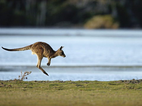 Greens Beach - Travel Agents 1