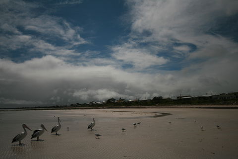 Hardwicke Bay - Tourism Guide 0