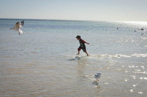 Hardwicke Bay - Tourism Guide 1