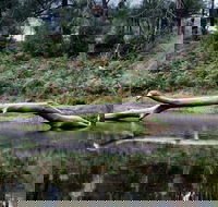 Kayaking Upper Tuross River and Bumbo Lake - Tourism Guide
