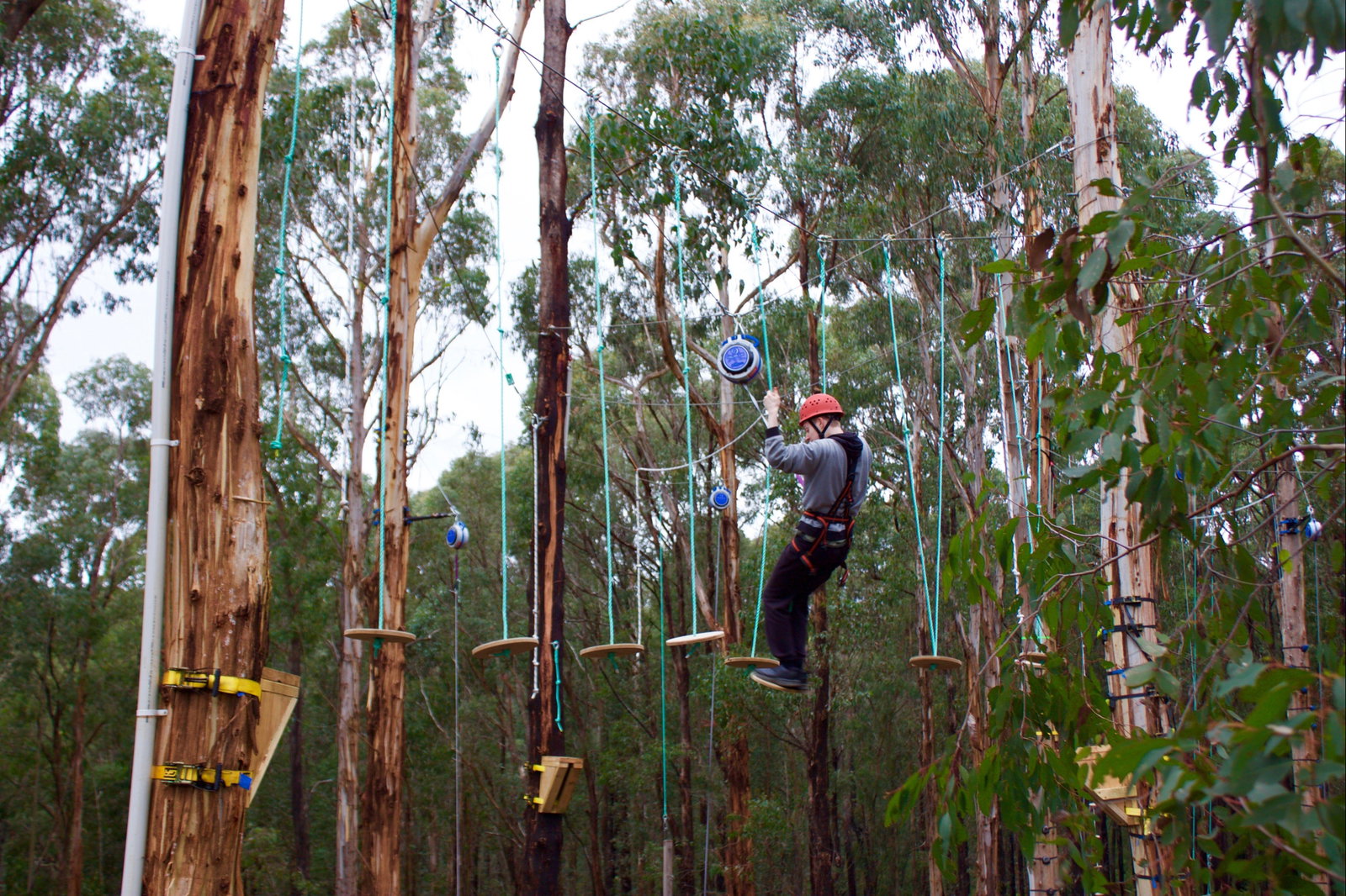 Kinglake West VIC Tourism Guide