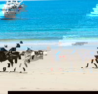 Mackay Harbour Beach - Cruises Travel