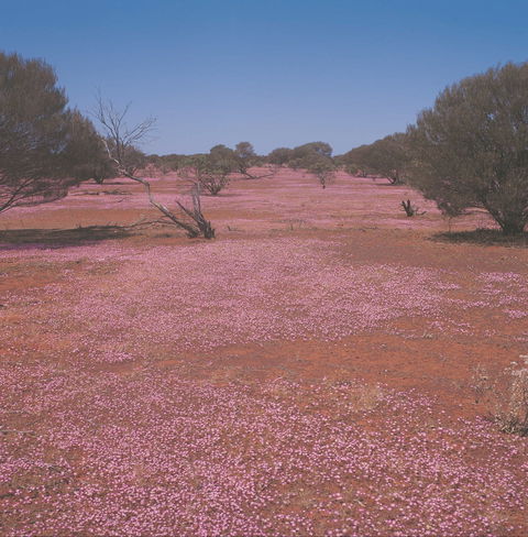 Meekatharra - Travel Agents 0
