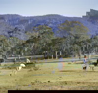 Megalong Valley - Travel Agents