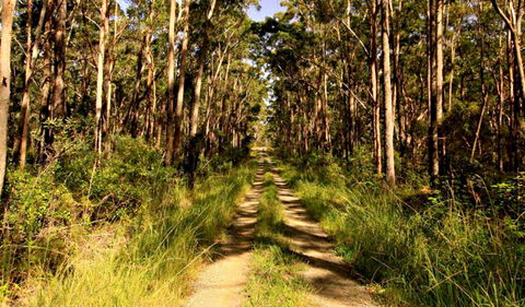 Mining Road Fire Trail, Old Gibber Road Rire Trail - Cruises Travel 0
