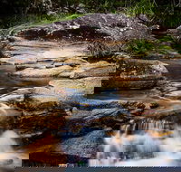Mothar Mountain Rockpools - Tourism Guide