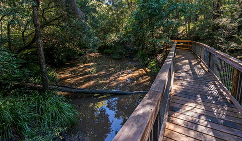 Ms Kellys Walking Track - Tourism Guide 0