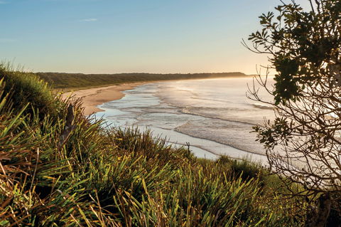 Murramarang National Park - Tourism Guide 0