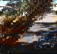 Murchison Rail Trail - Cruises Travel