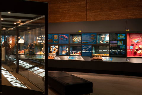 Museum Of Central Australia - Tourism Guide 0