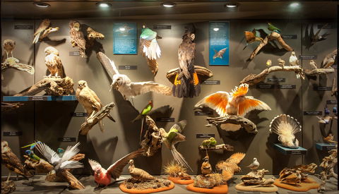 Museum Of Central Australia - Tourism Guide 2