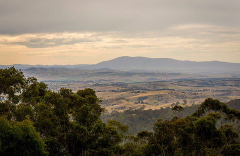 Myrtle Mountain Lookout - Tourism Guide 0