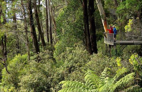 Pipers Lookout - Tourism Guide 0