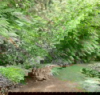 Pirianda Gardens - Tourism Guide