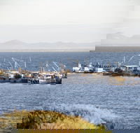 Portarlington - Tourism Guide